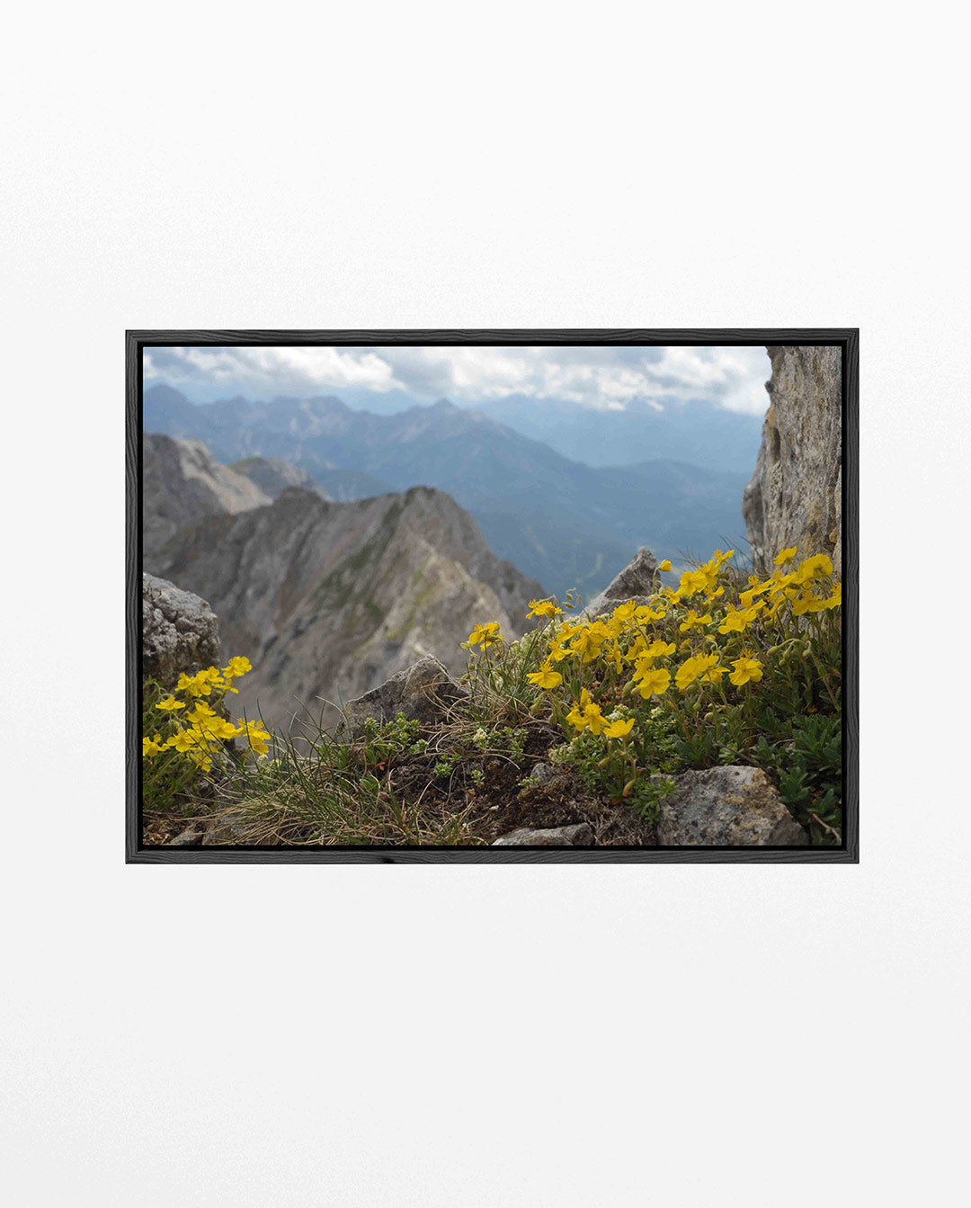 Berglandschap met bloemen Kunstwerk