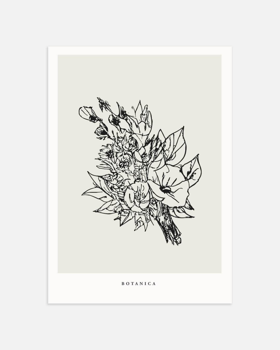 Botanische bloemen Poster