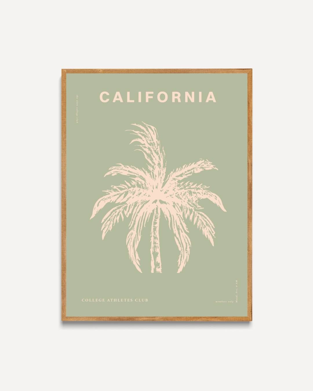 California palmboom Poster