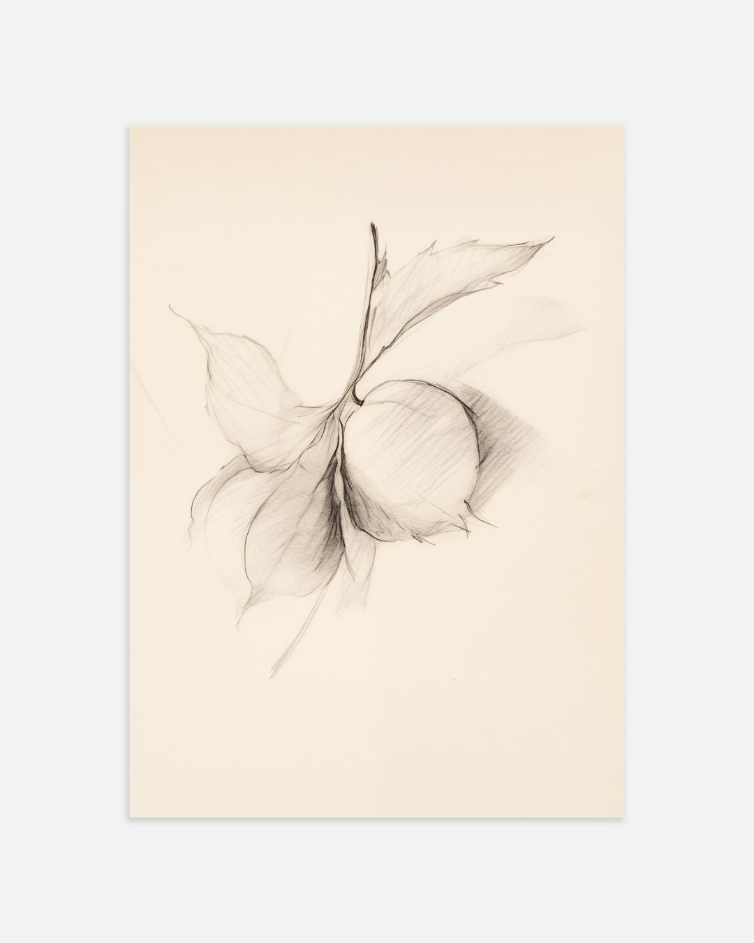 Botanical Sketches Poster Set 