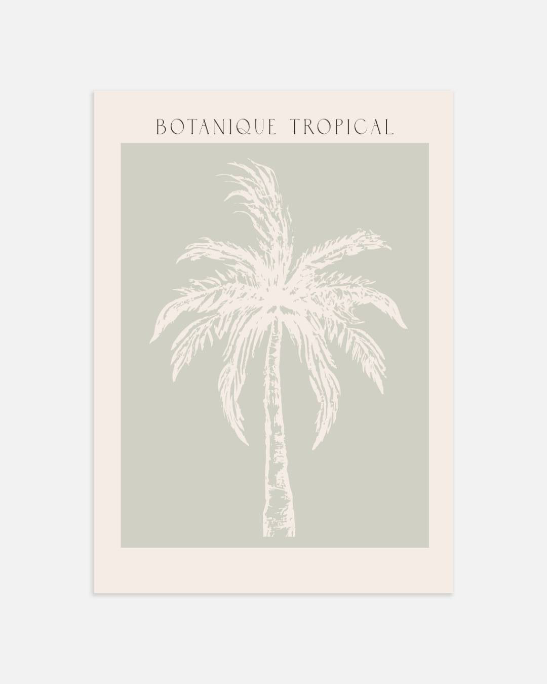 Botanique tropical enkele palmboom poster