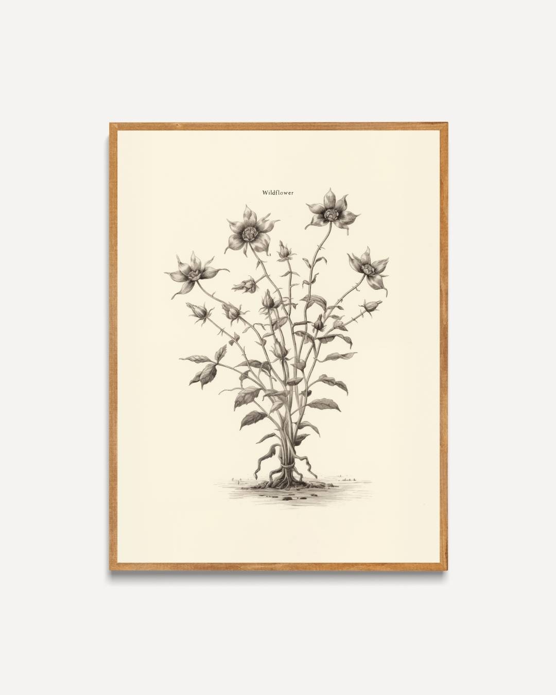 Wildflower Poster