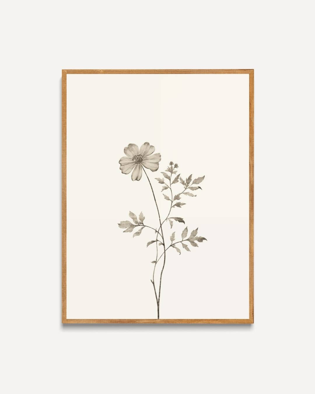 Botanical Flower Poster