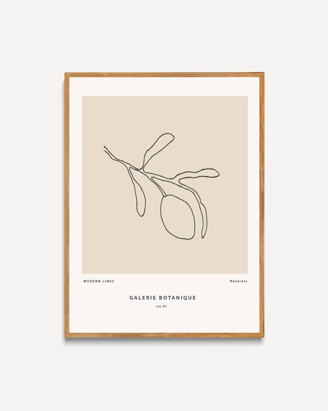 Modern botanical line drawing Poster