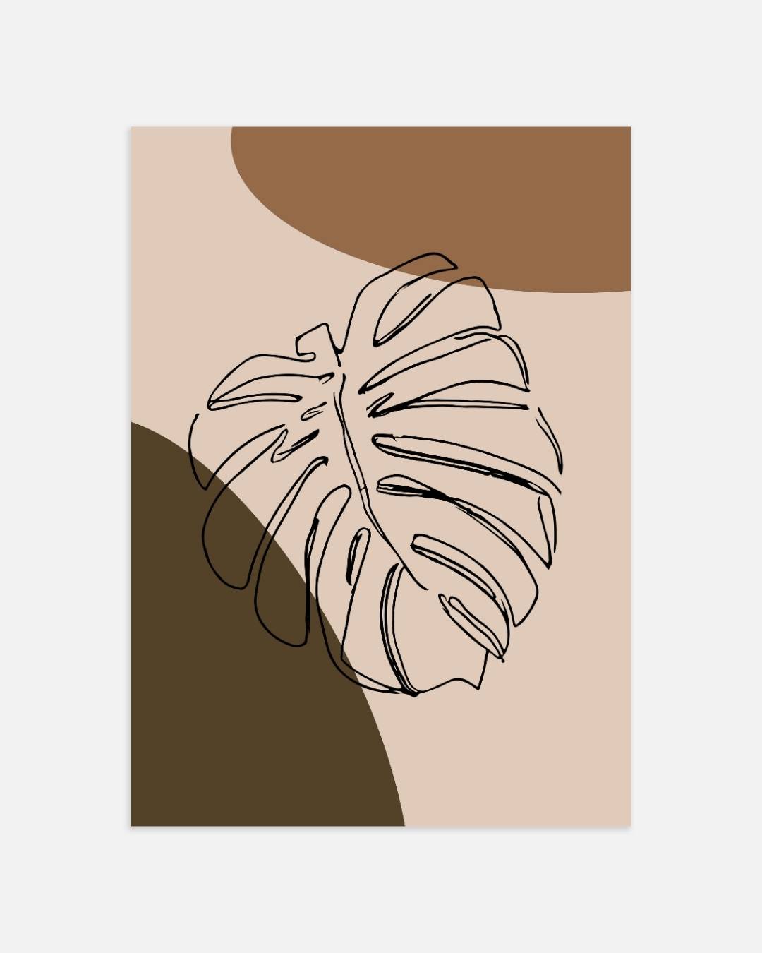 Monstera blad poster