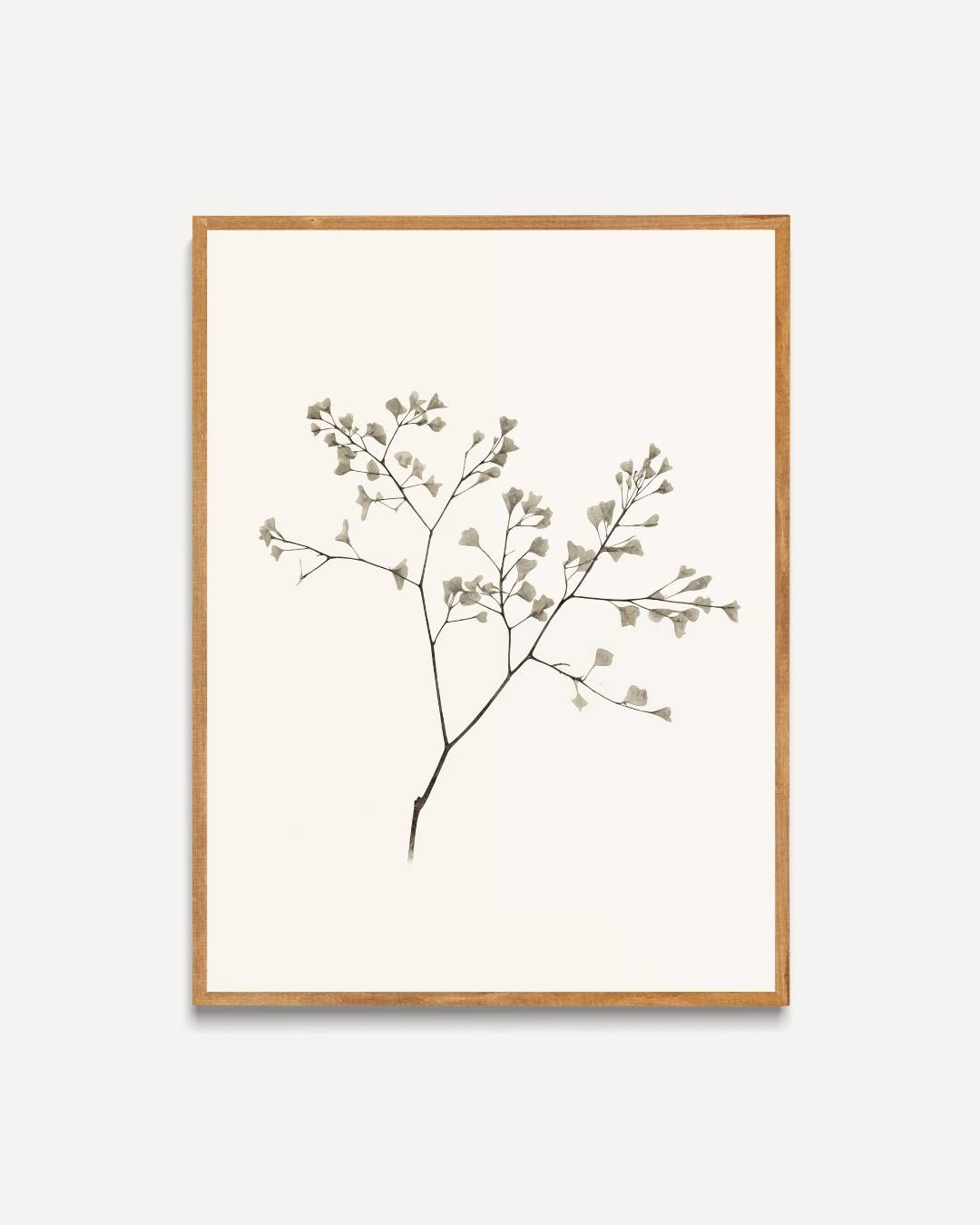 Minimalistische botanische tak Poster