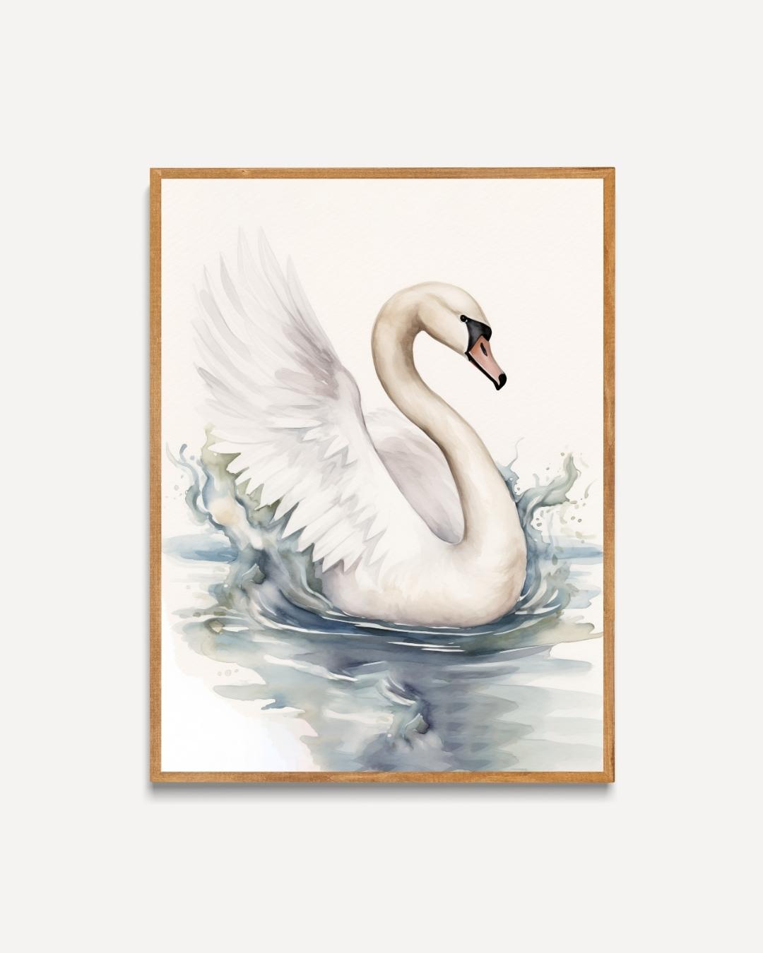 Elegant Swan Poster 