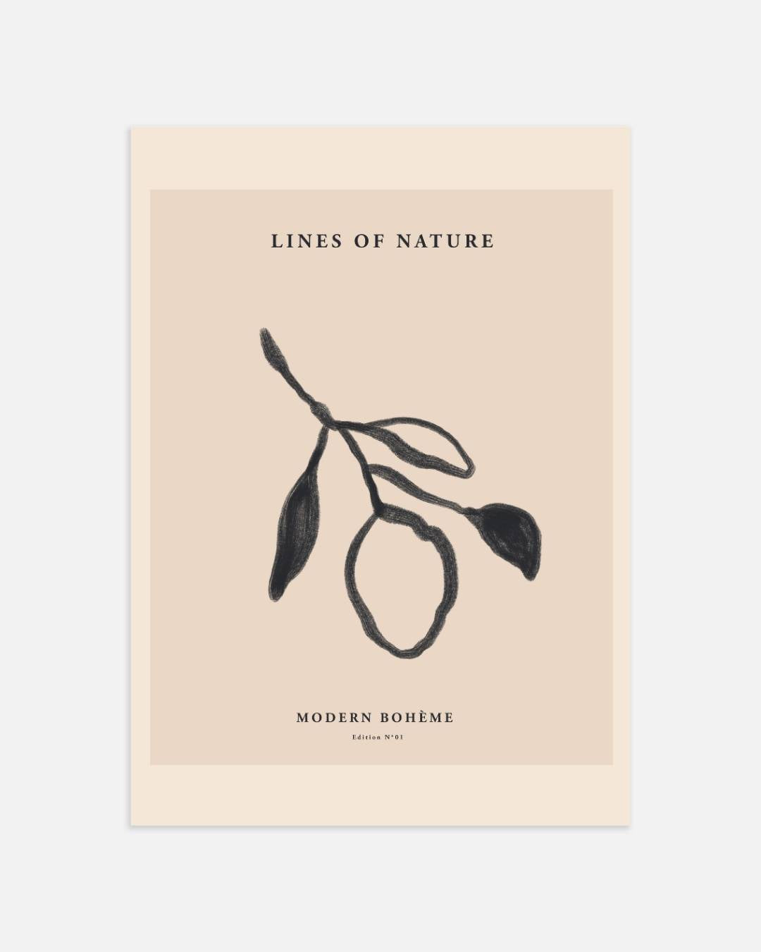 Botanische schets Poster