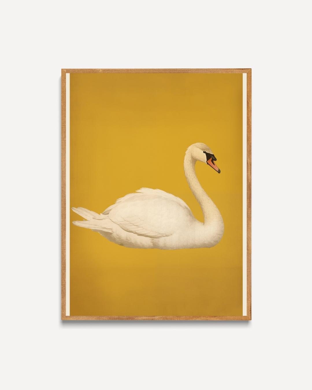 Elegantes Schwan-Poster