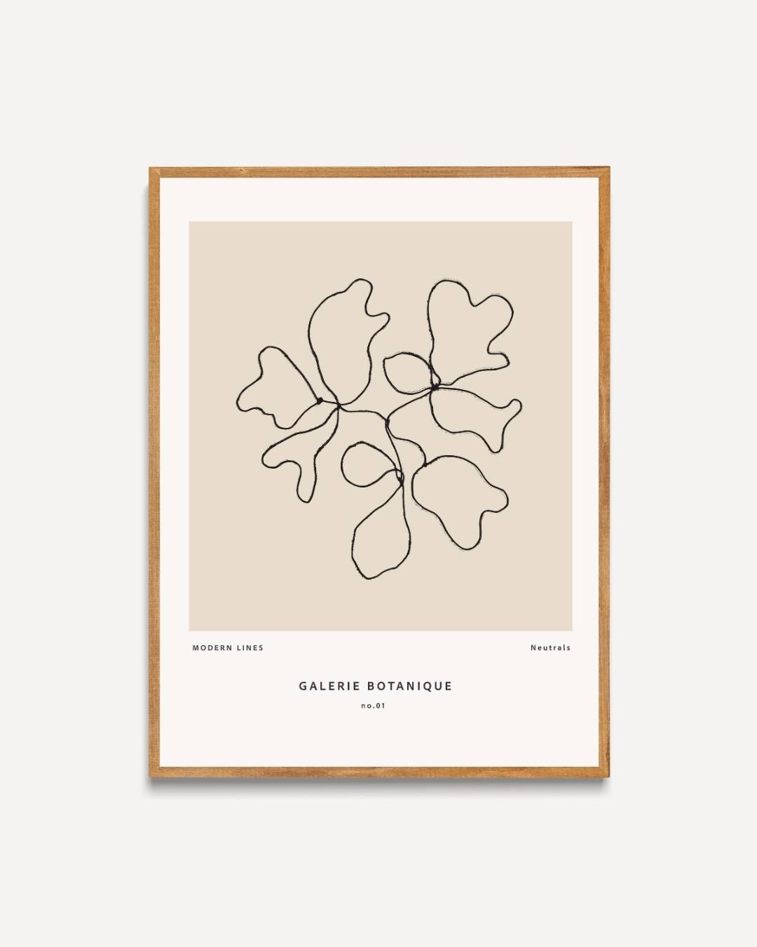 Galerie Botanique abstract lines Poster