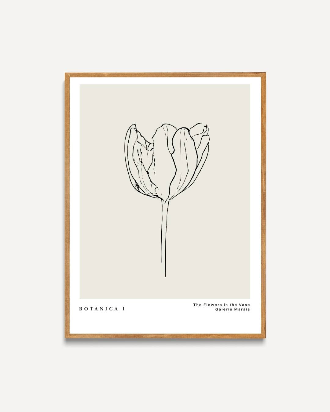 Tulp lijntekening Poster