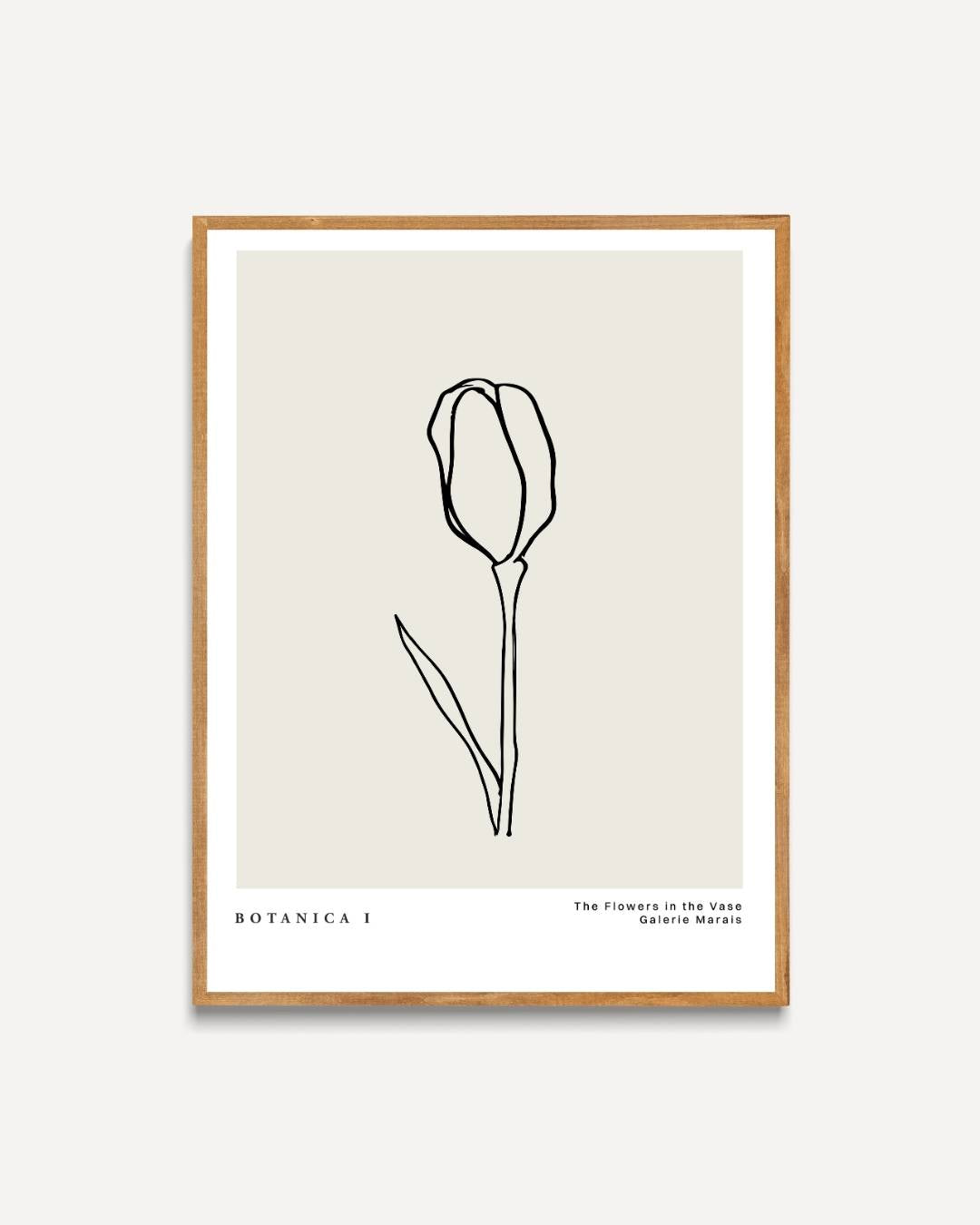 Tulpen lijntekening Poster