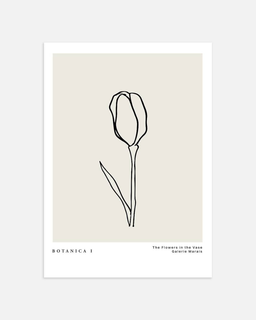 Tulpen lijntekening Poster