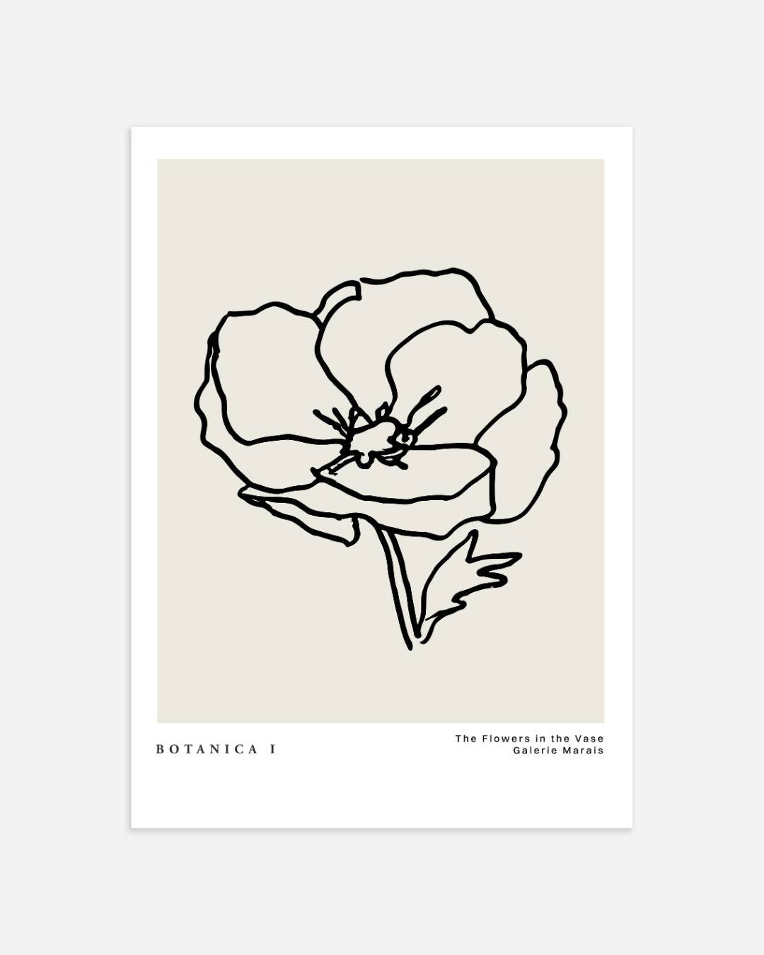 Botanische bloemen Poster