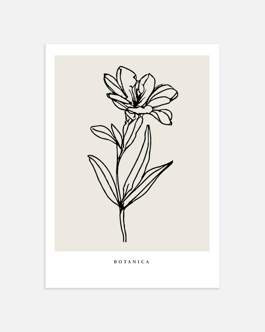 Klassieke bloem lijntekening Poster