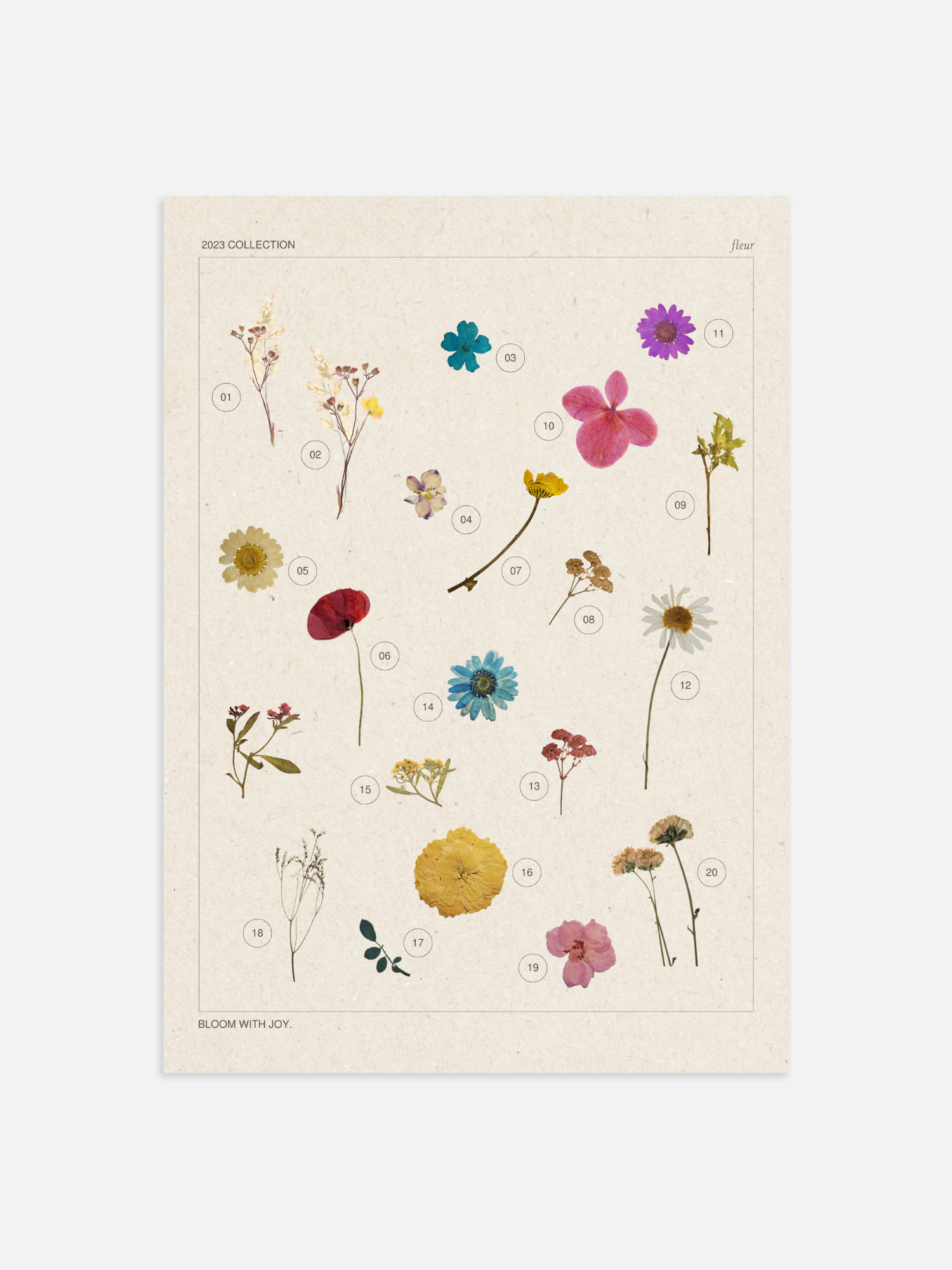 Flower Poster