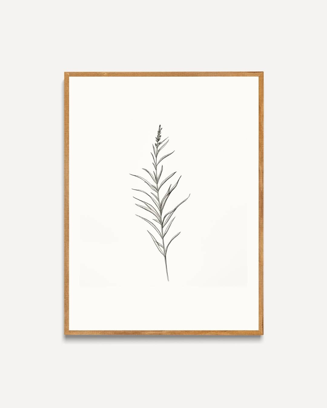 Galerie naturelle botanische tak Poster