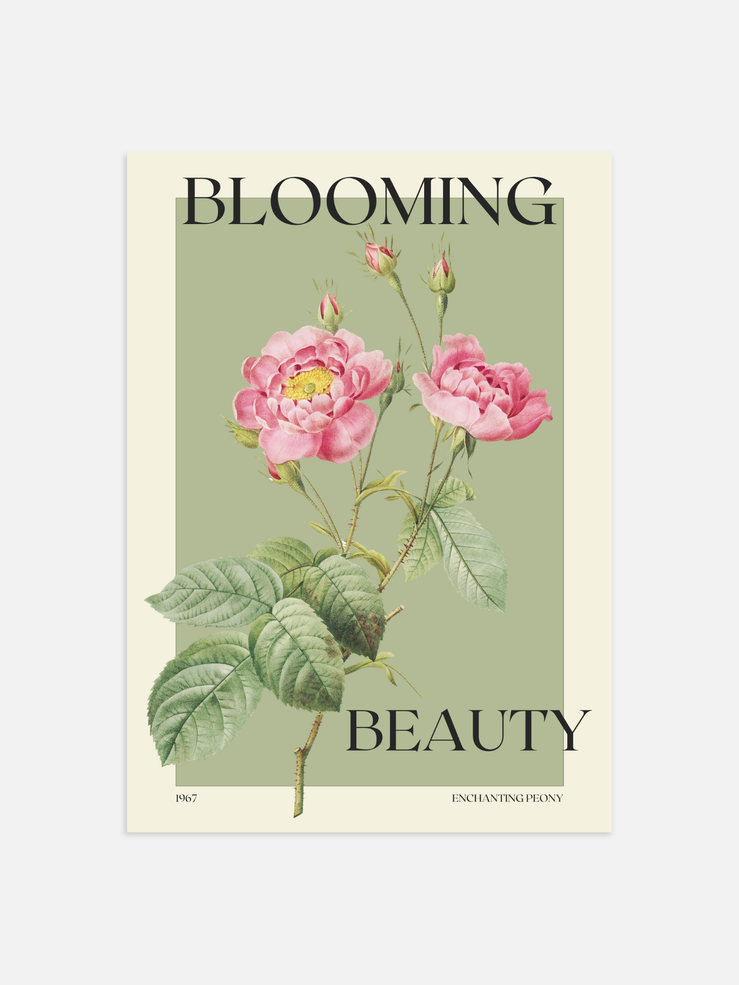 Blooming beauty Poster