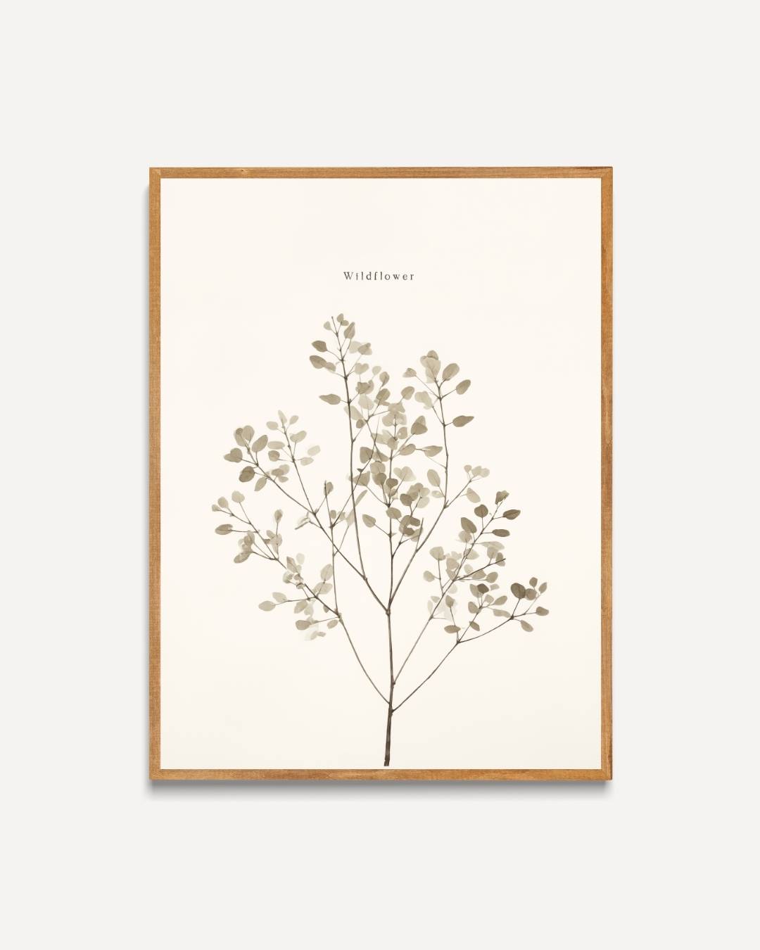 Wildflower botanische illustratie Poster