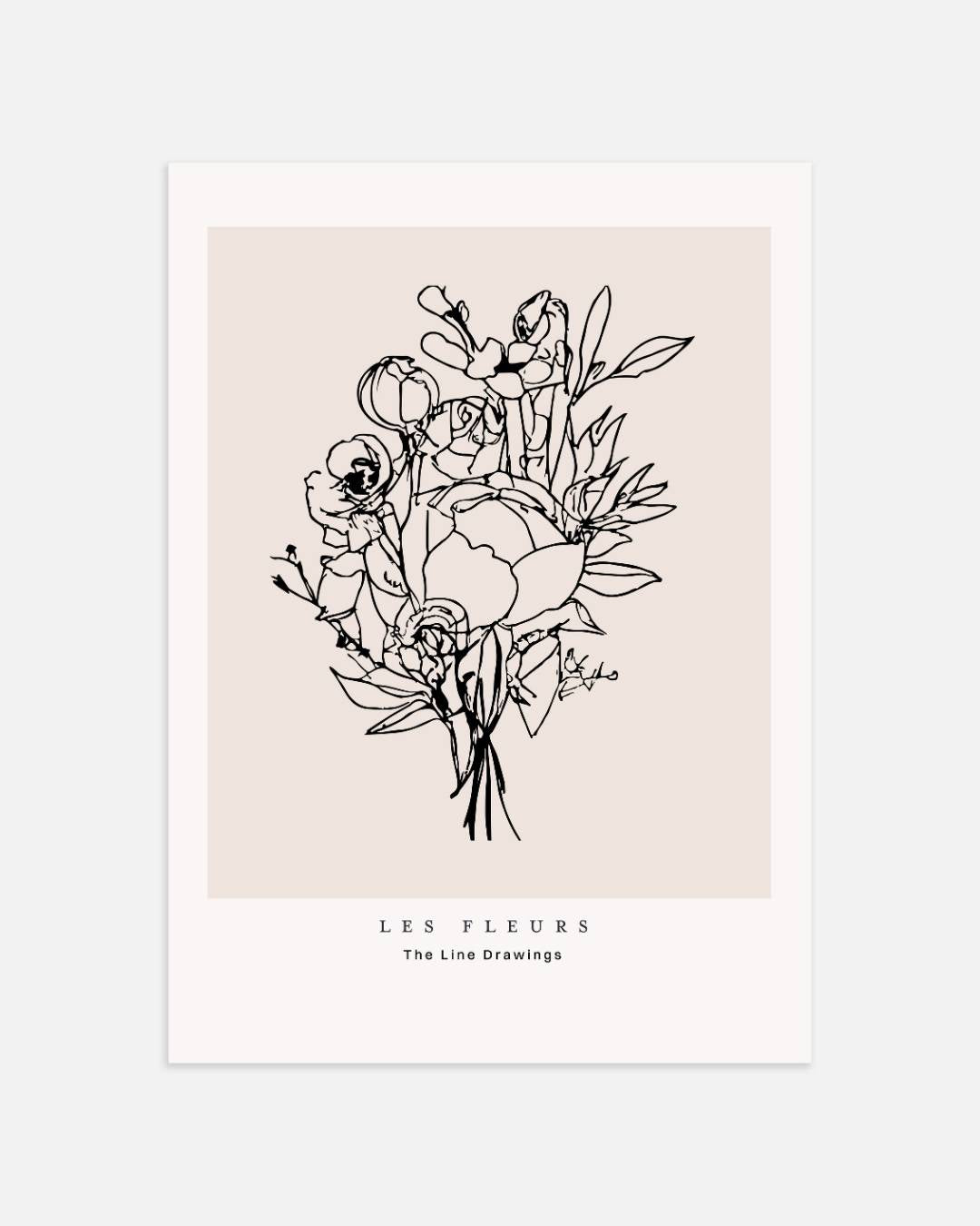 Botanische lijntekening bloemen Poster