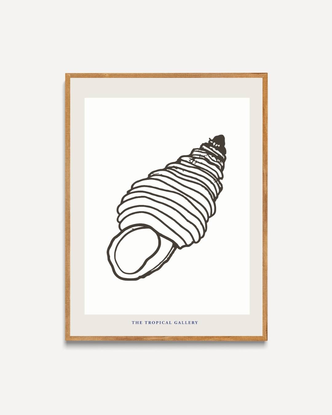 Tropische schelp Poster