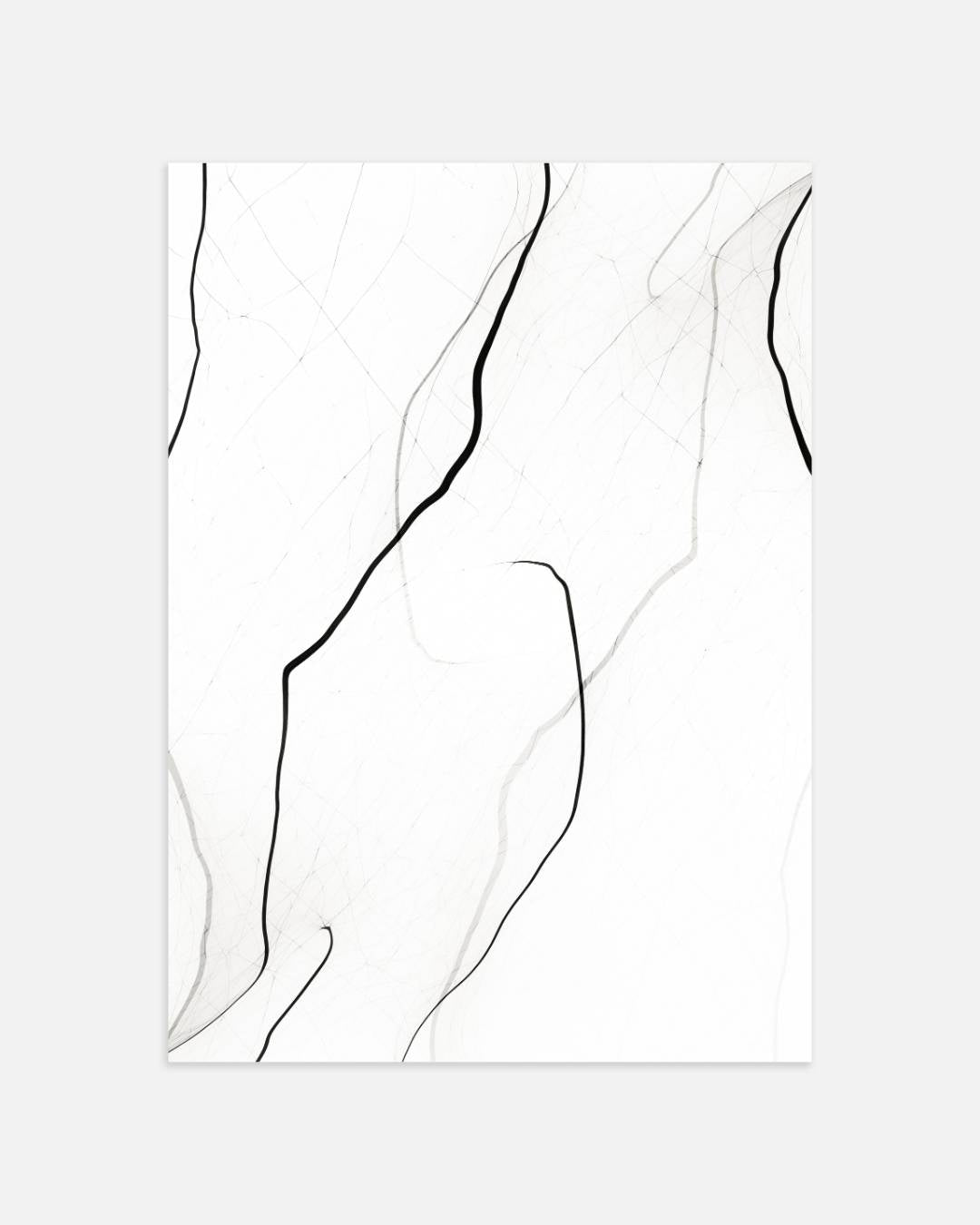 Elegante abstracte lijnen Poster