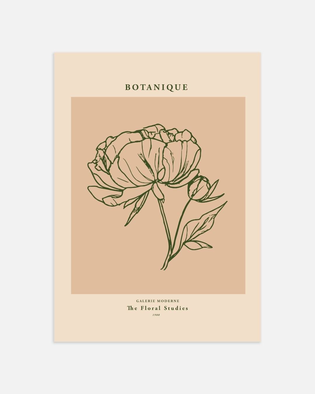 Flora botanische schets Poster