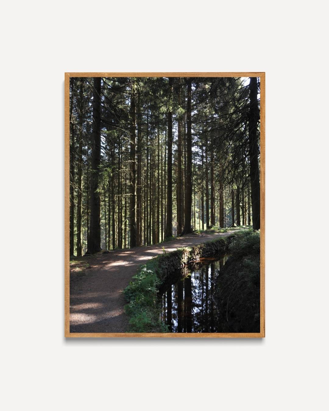 Waldspaziergang-Poster