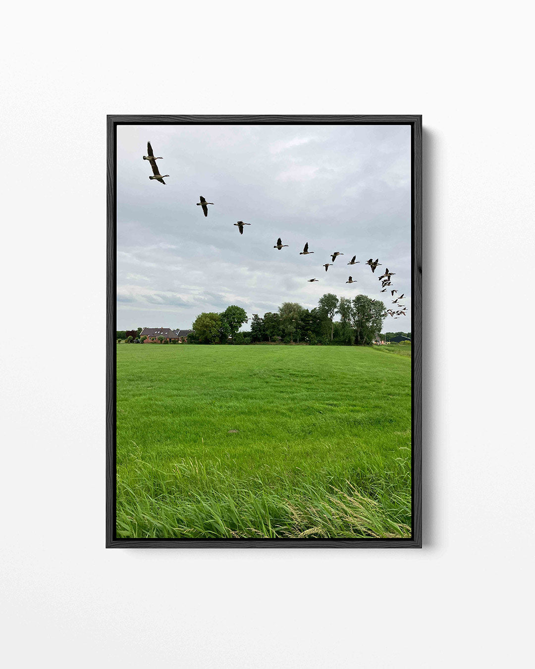 Vliegende vogels Kunstwerk