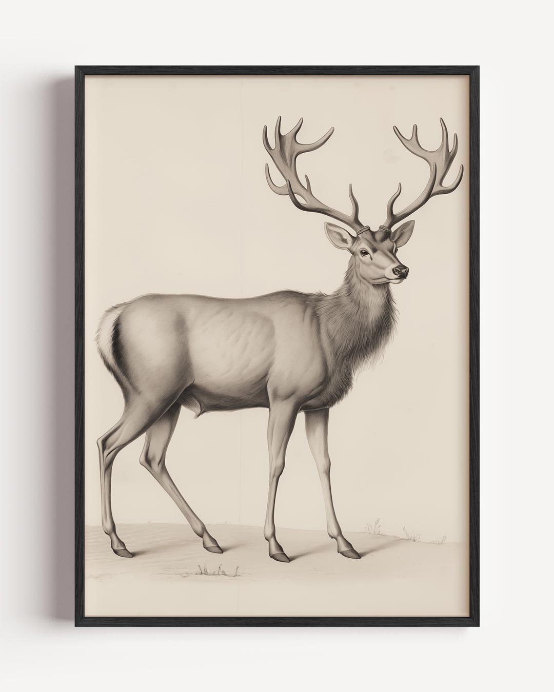 Elegante Hertenschets Poster-WallArtistic