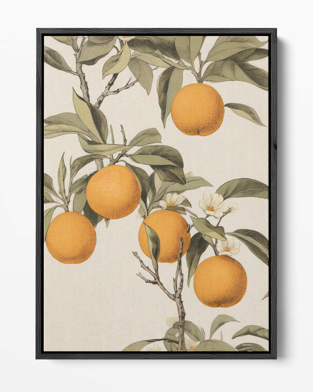 Zonnige Sinaasappelboom Illustratie Kunstwerk-canvas-dibond-plexiglas-wanddecoratie-WallArtistic