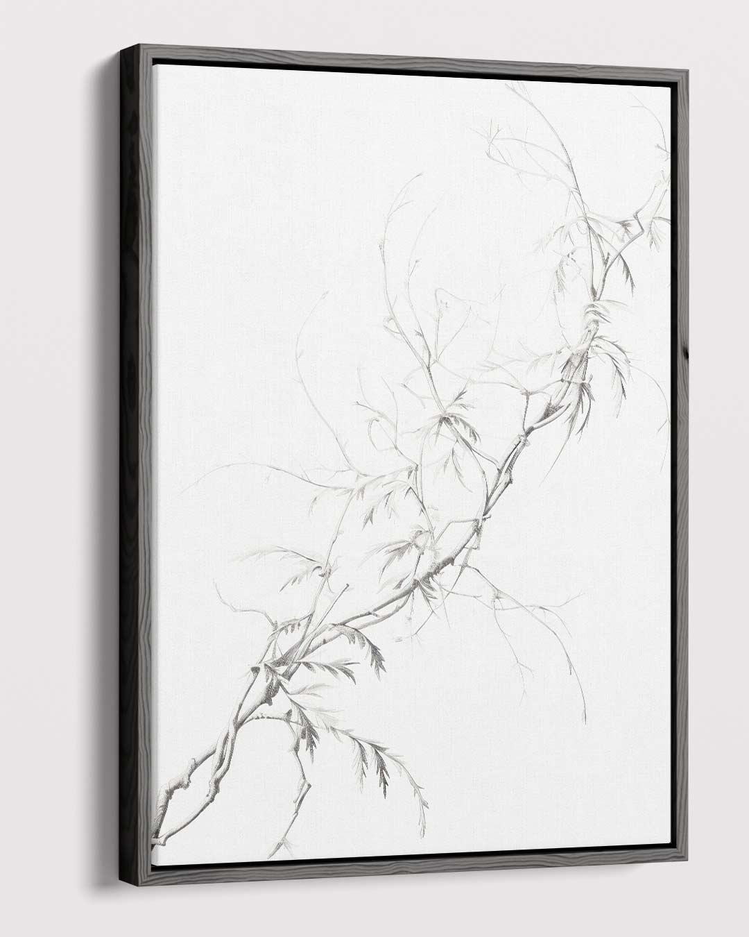 Bamboe in Potlood Kunstwerk-canvas-dibond-plexiglas-wanddecoratie-WallArtistic
