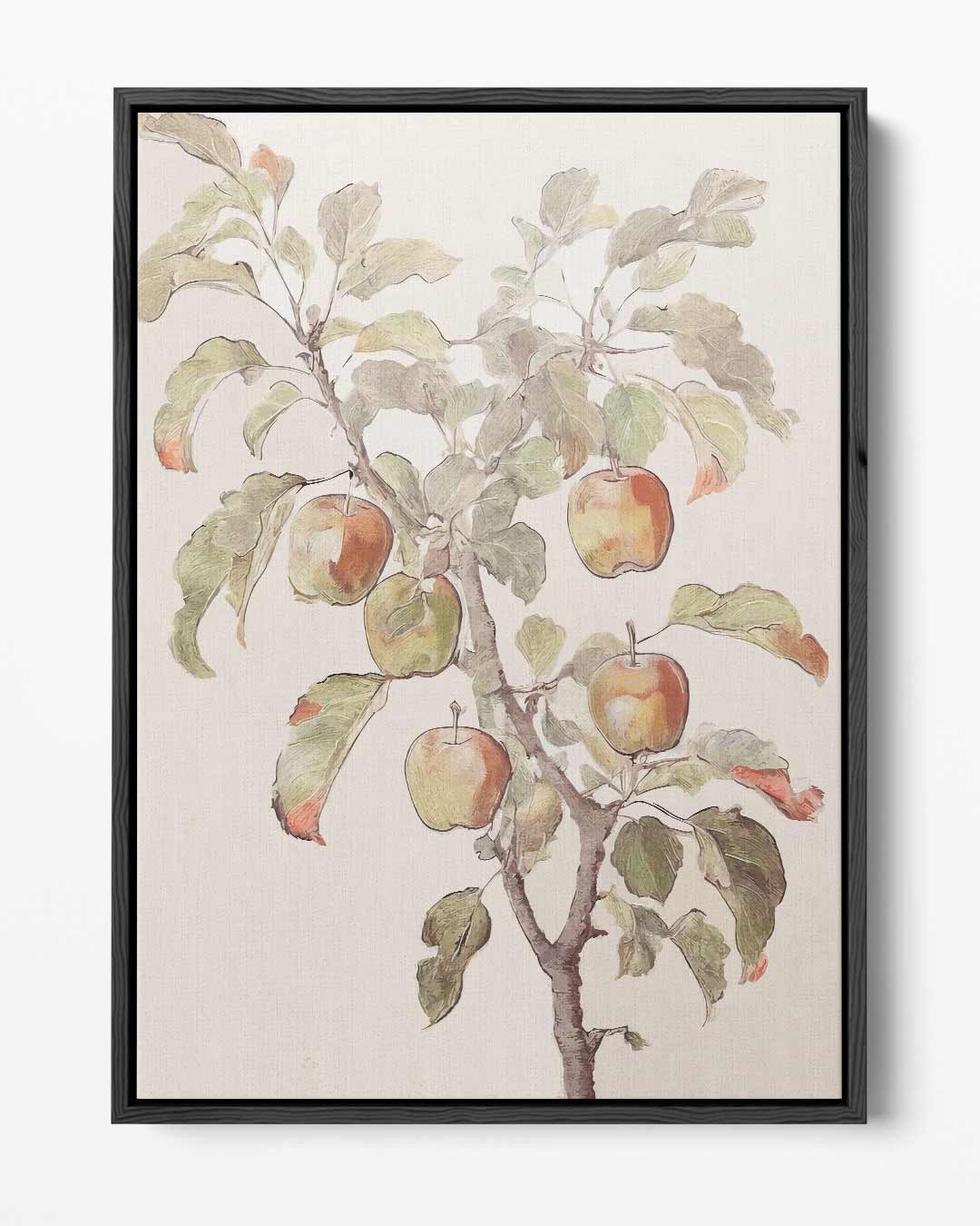 Appelboom Illustratie Kunstwerk-canvas-dibond-plexiglas-wanddecoratie-WallArtistic
