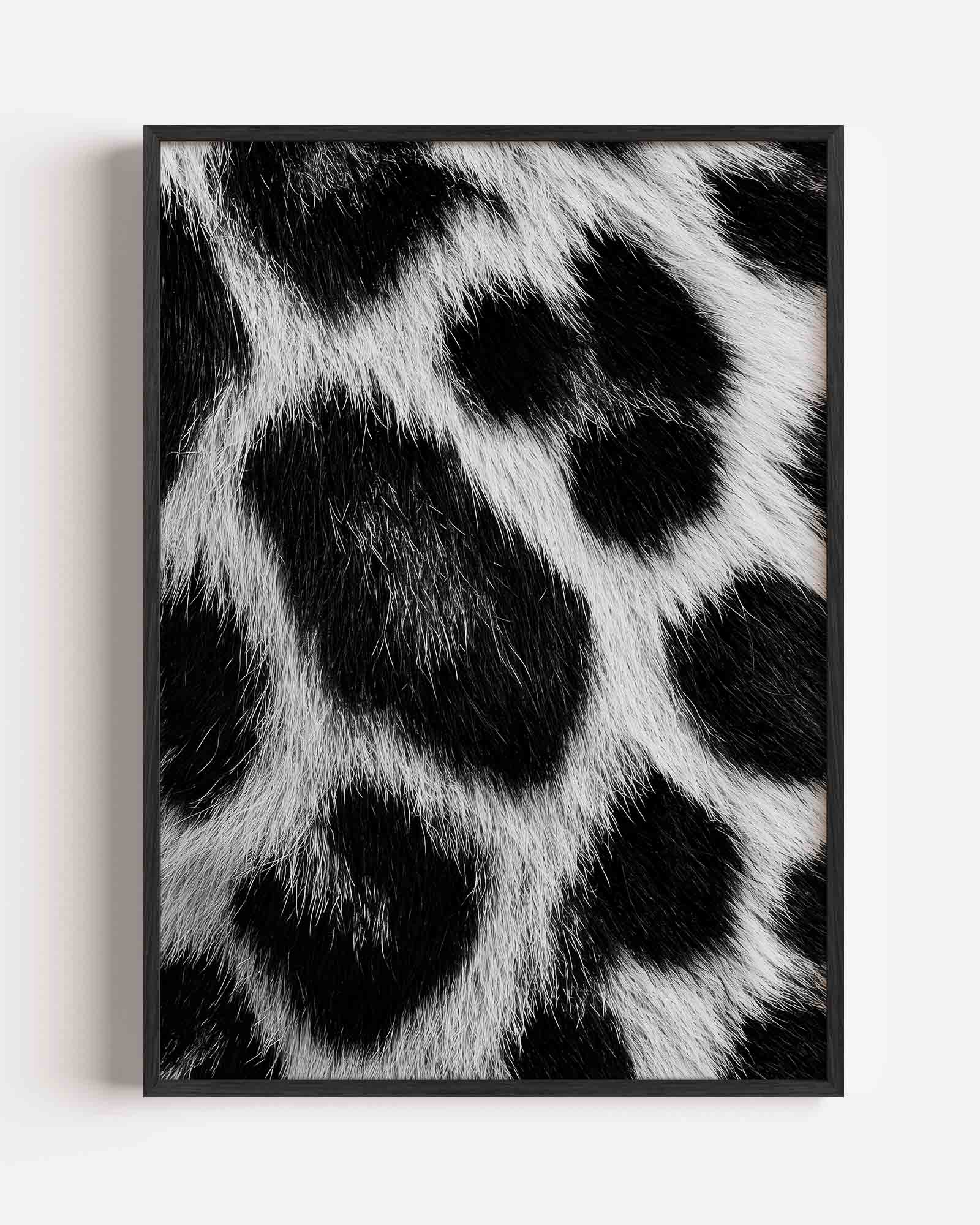 Zwart witte vacht Poster