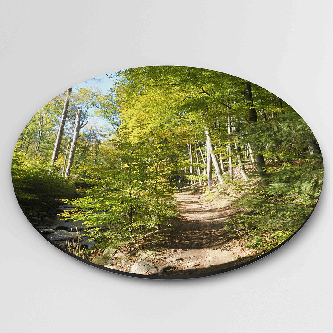 Boswandeling Muurcirkel