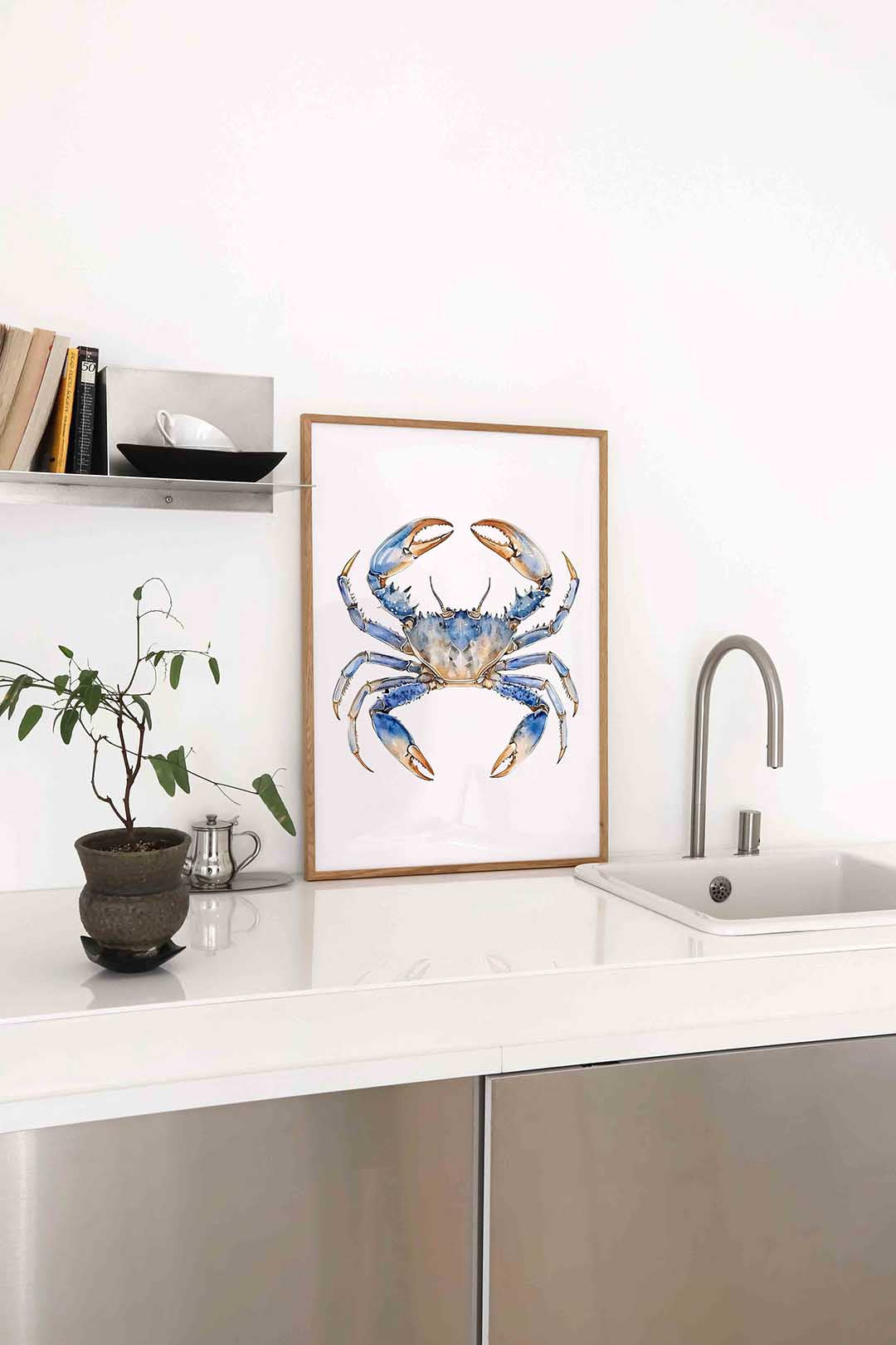 Blauwe krab Poster