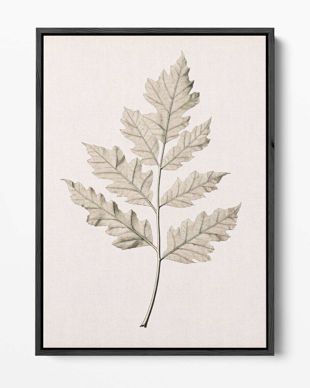 Botanische Elegantielijn Kunstwerk-canvas-dibond-plexiglas-wanddecoratie-WallArtistic