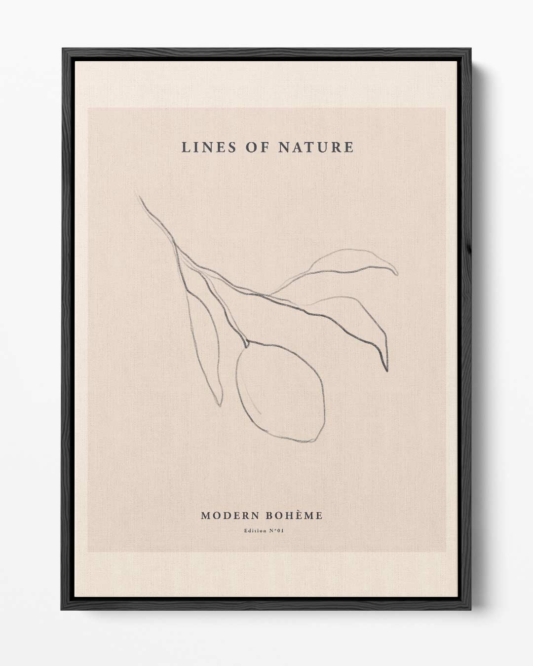 Lines of Nature Poster