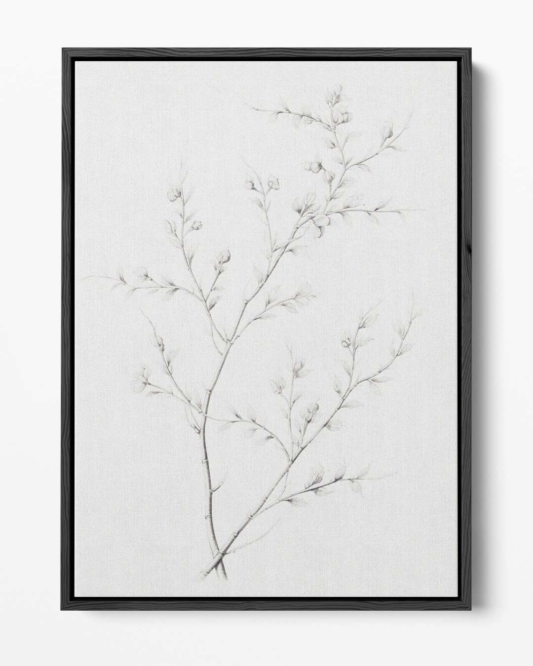 Elegante Potloodschets van Takken Kunstwerk-canvas-dibond-plexiglas-wanddecoratie-WallArtistic