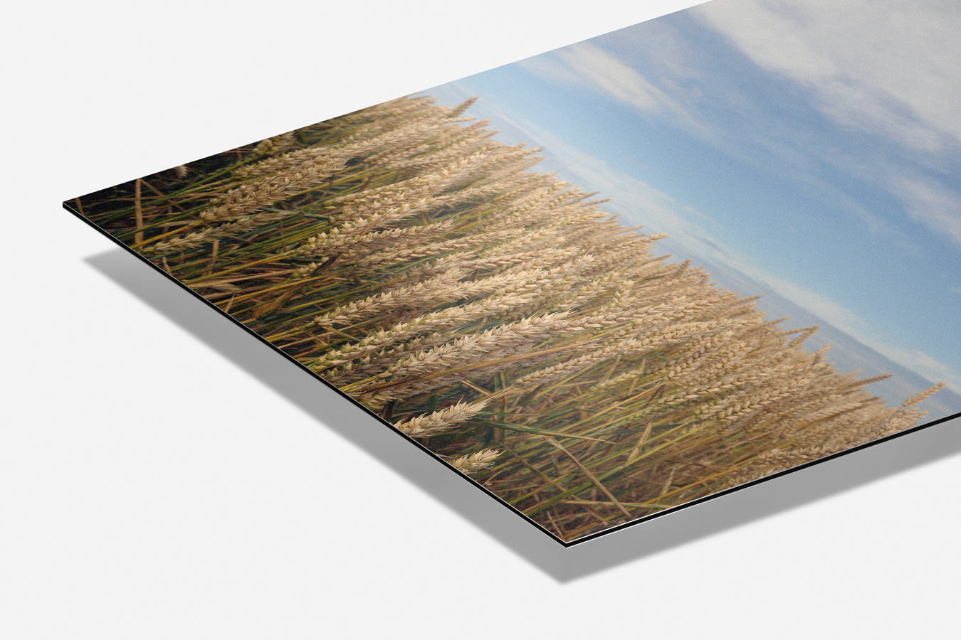 Rustiek Graanveld Poster