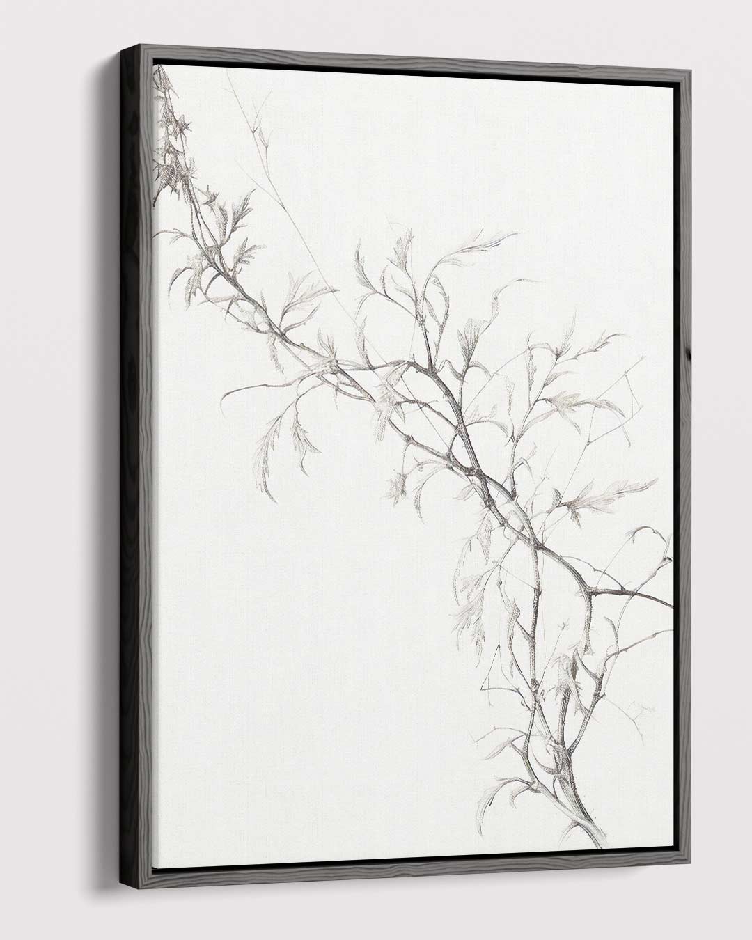 Subtiele Tak In Potlood Kunstwerk-canvas-dibond-plexiglas-wanddecoratie-WallArtistic