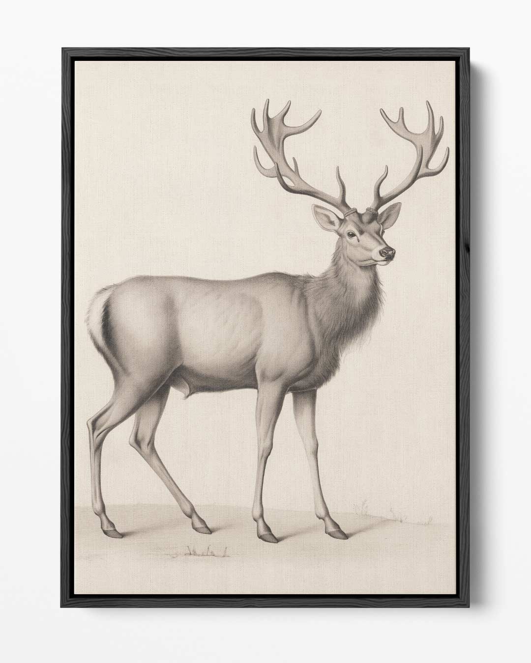 Majestueuze Hertentekening Kunstwerk-canvas-dibond-plexiglas-wanddecoratie-WallArtistic