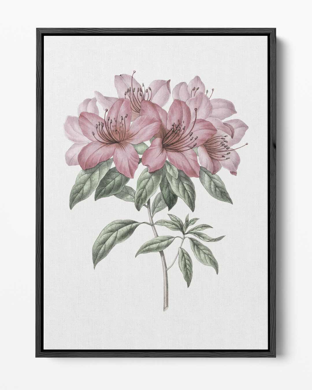 Bloeiende Azalea Schilderij Kunstwerk-canvas-dibond-plexiglas-wanddecoratie-WallArtistic