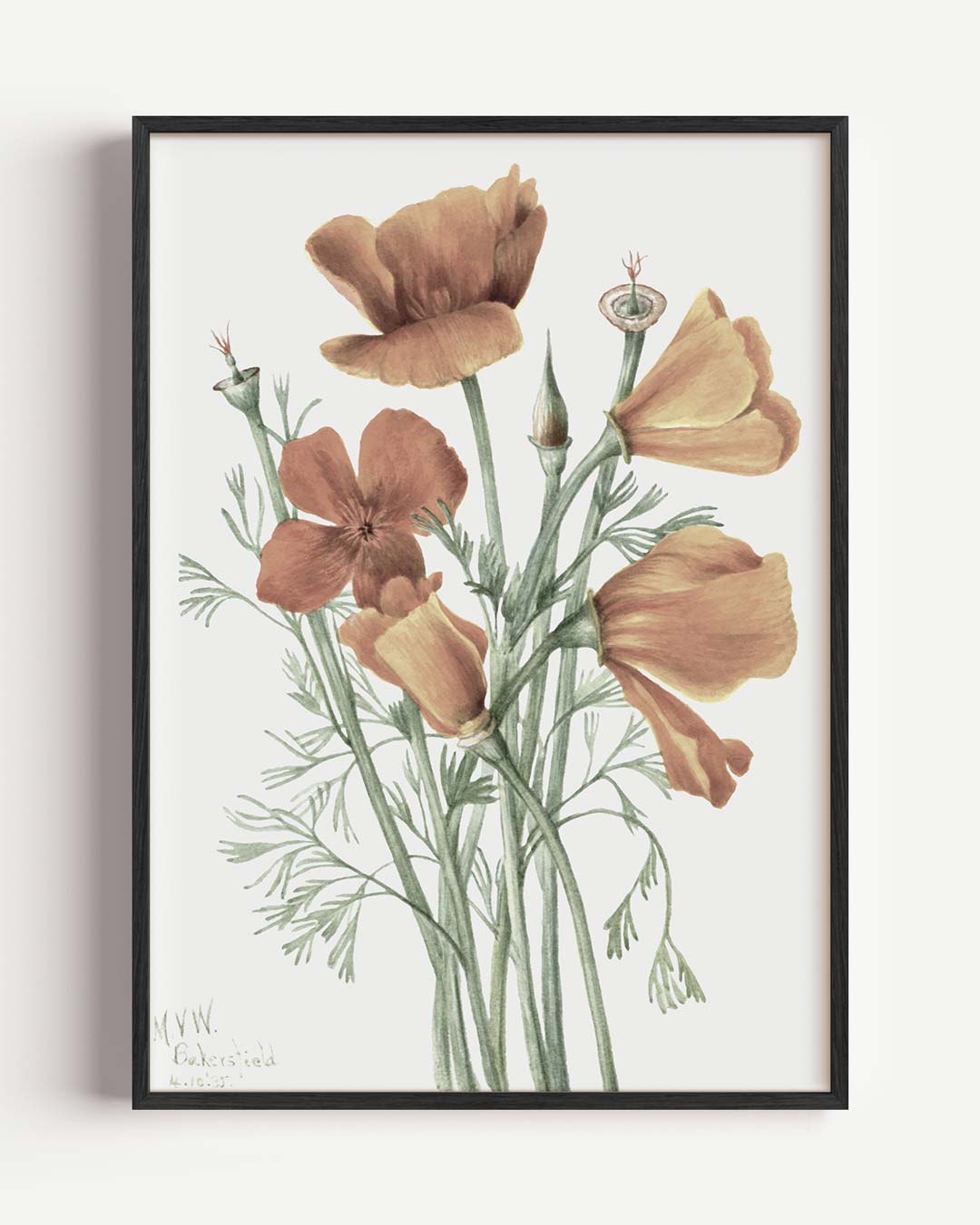 Bloemige Veldschoonheid Poster