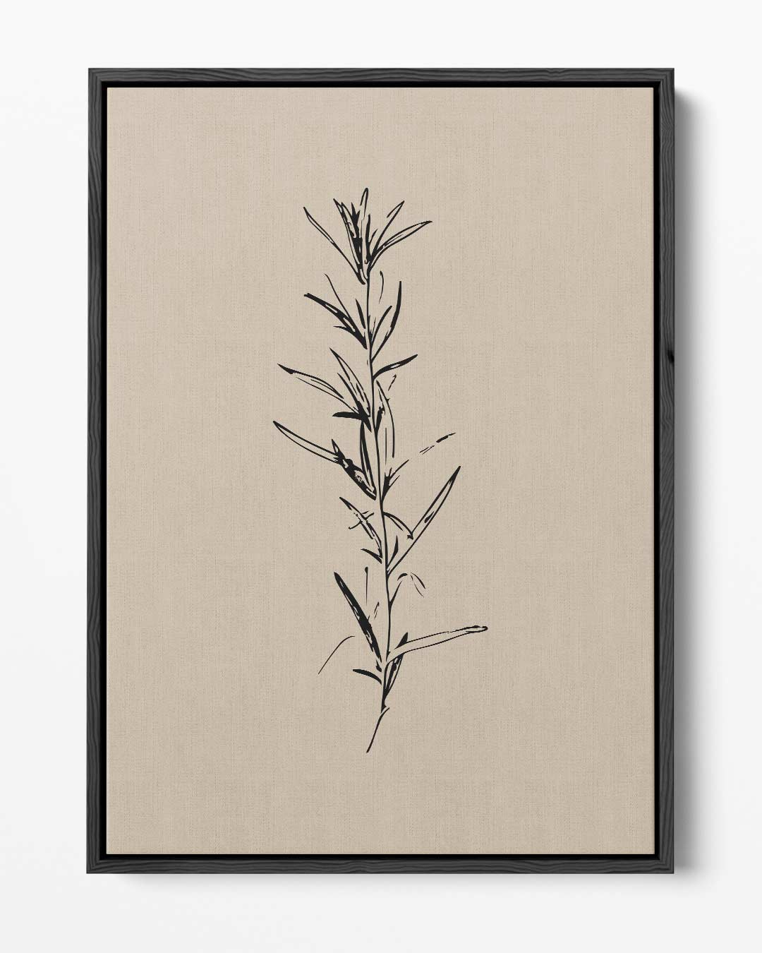 Elegante Botanische Schets Kunstwerk-canvas-dibond-plexiglas-wanddecoratie-WallArtistic