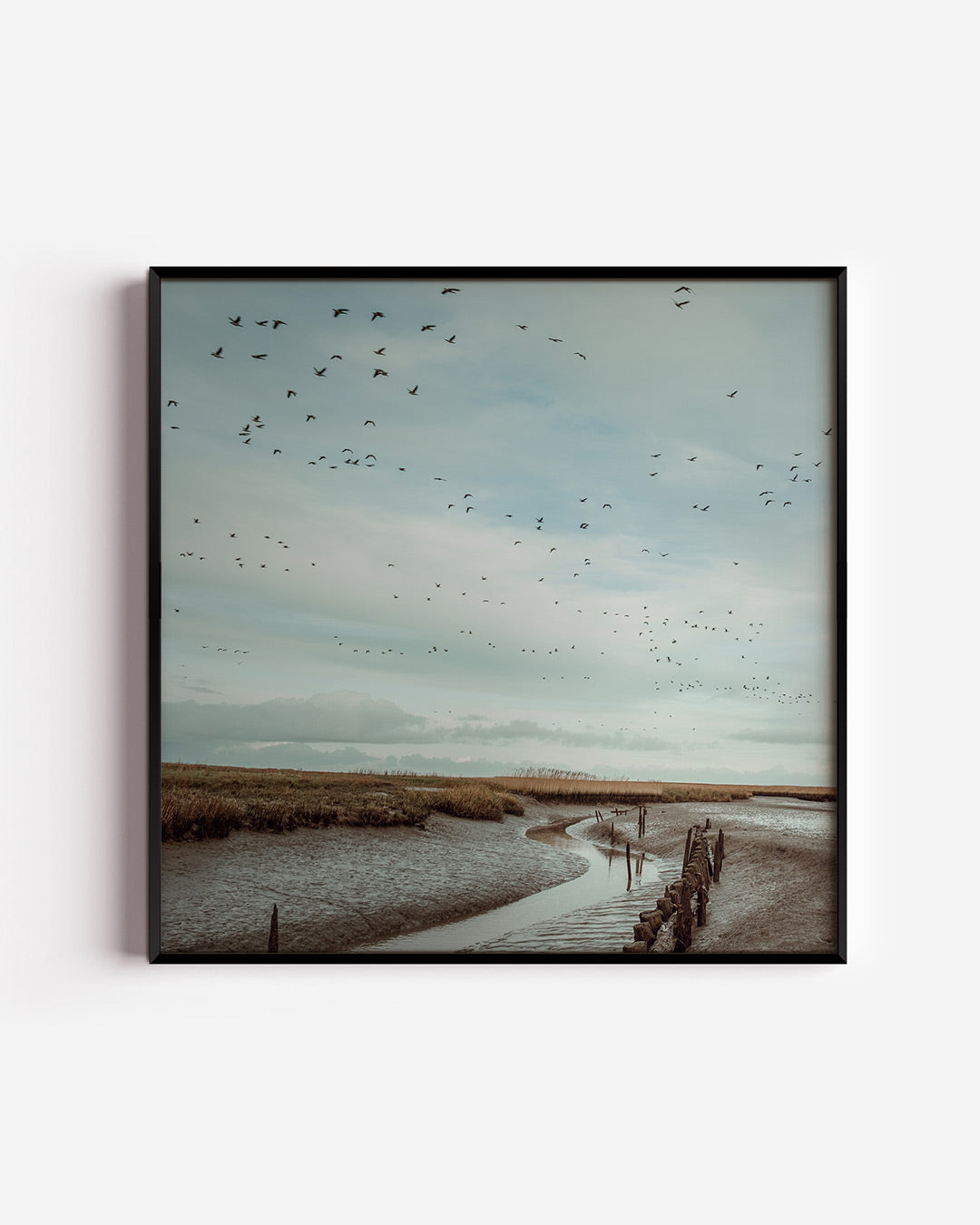 Vogels boven landschap Poster