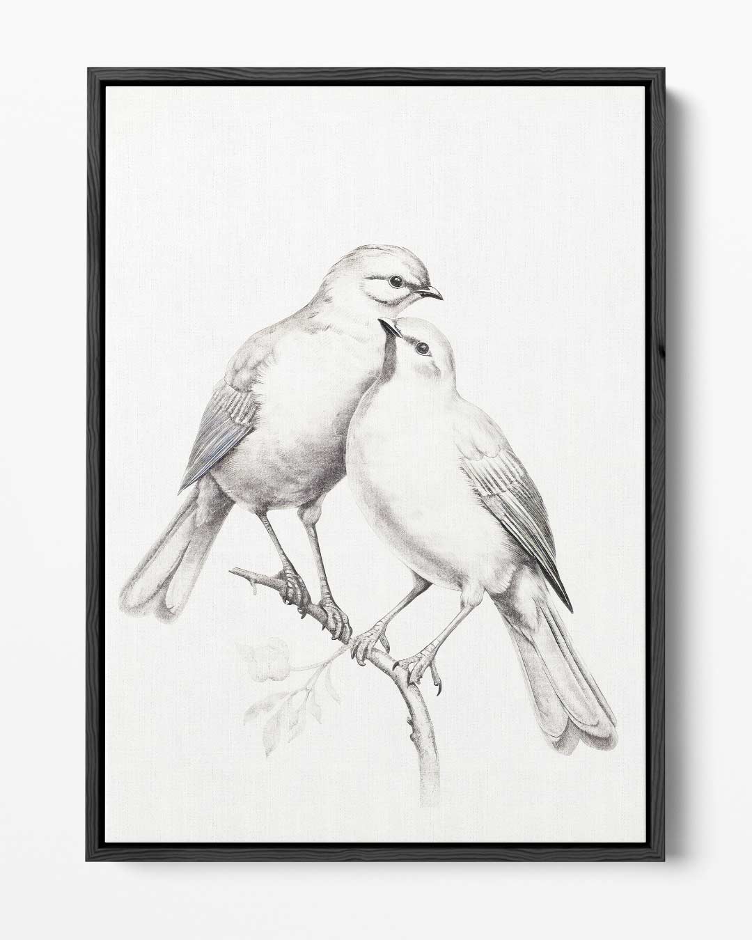 Zachte Vogelliefde Kunstwerk-canvas-dibond-plexiglas-wanddecoratie-WallArtistic