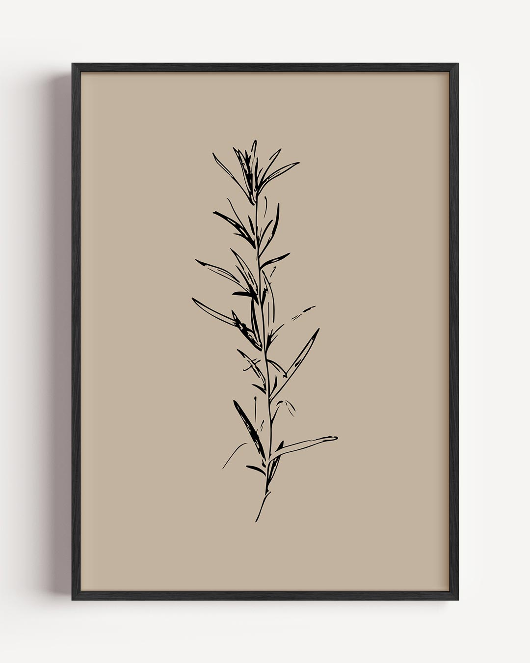 Minimalistische Botanische Illustratie Poster-WallArtistic
