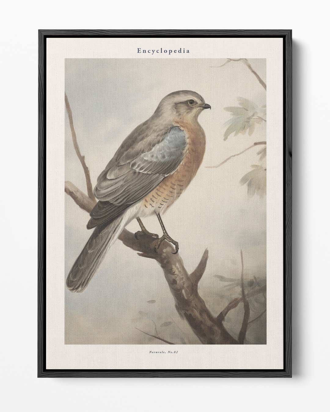 Vintage Vogelschilderij op Canvas Kunstwerk-canvas-dibond-plexiglas-wanddecoratie-WallArtistic