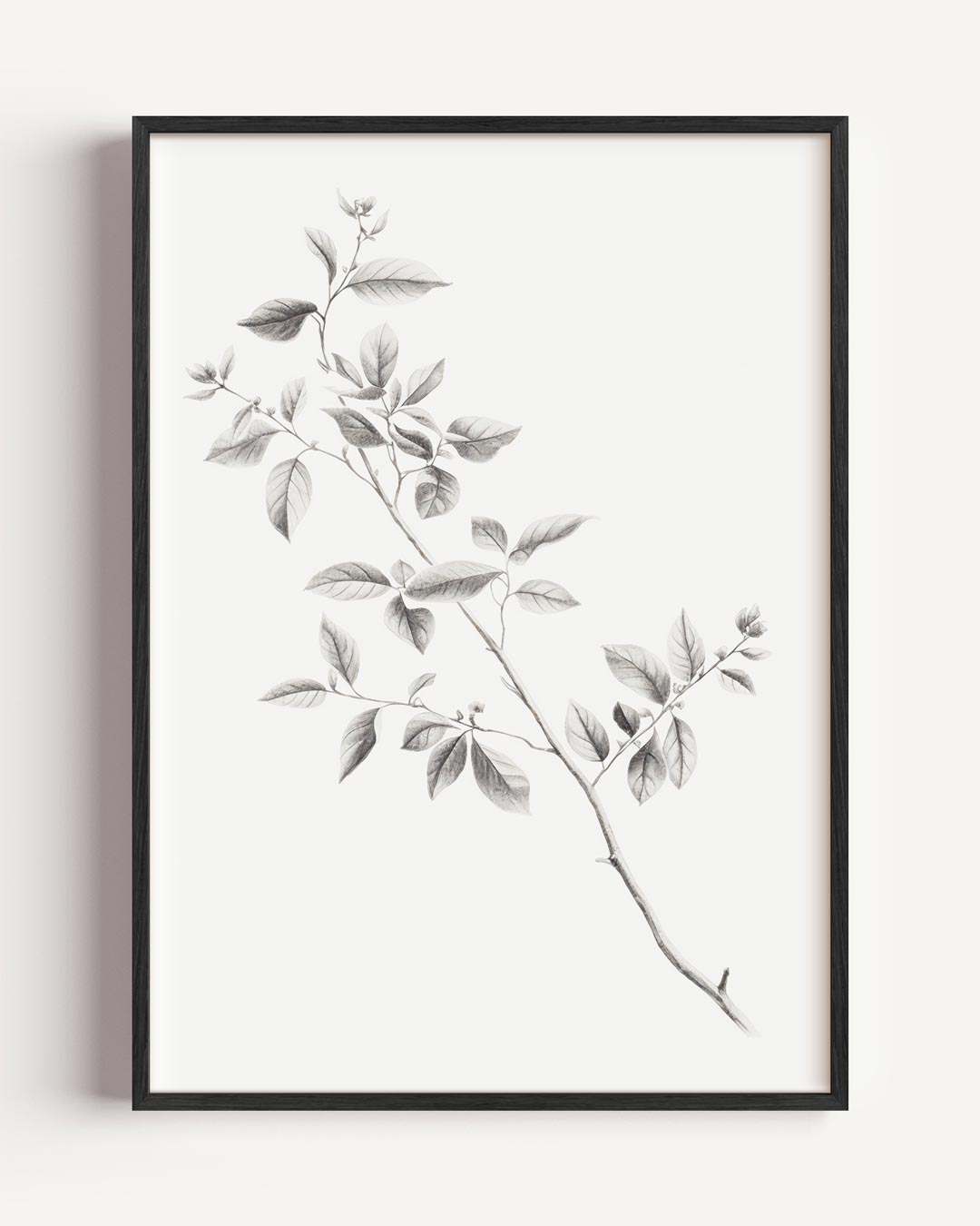 Botanische Elegantie Wandkunst Poster-WallArtistic